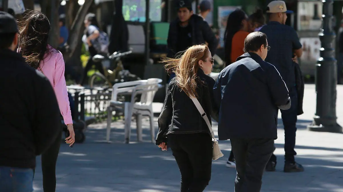 WhatsApp Image 2026-02-17 at 15.51.04