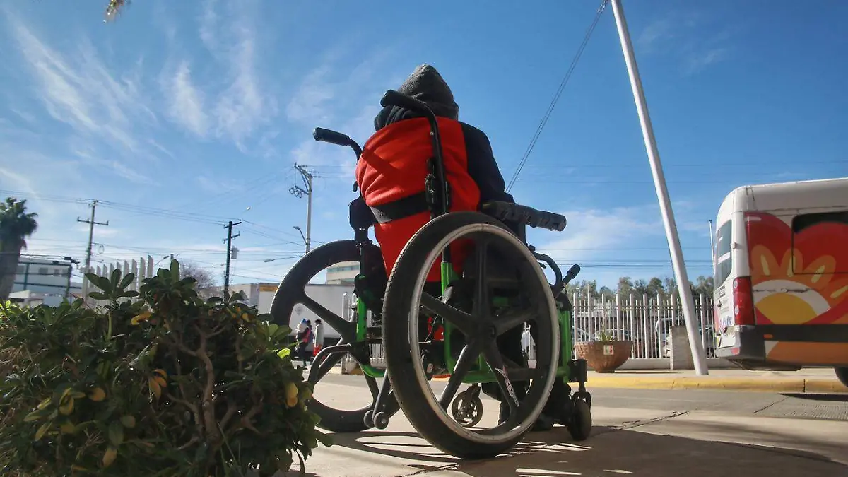 WhatsApp Image 2026-02-18 at 1.26.47 PM (2)