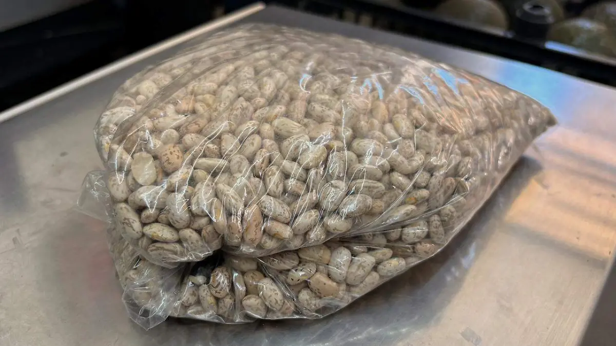 WhatsApp Image 2026-02-18 at 2.42.42 PM (2)