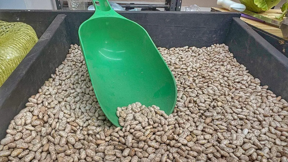 WhatsApp Image 2026-02-18 at 2.42.42 PM