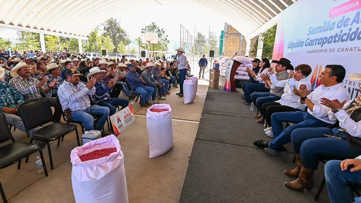 WhatsApp Image 2026-02-18 at 3.32.02 PM (1)