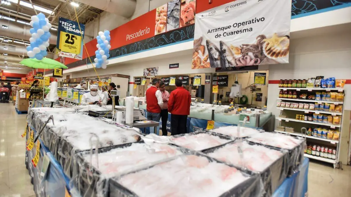 WhatsApp Image 2026-02-17 at 14.42.51 (1)