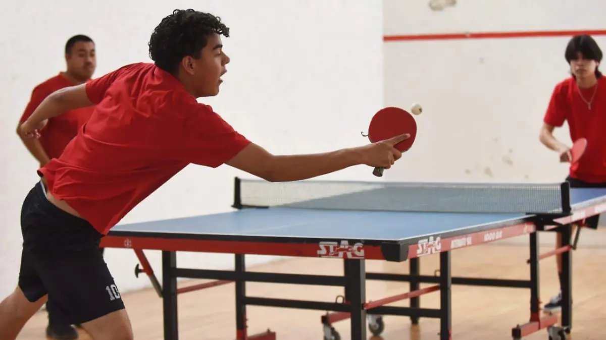 WhatsApp Image 2026-02-18 at 16.29.04 (1)