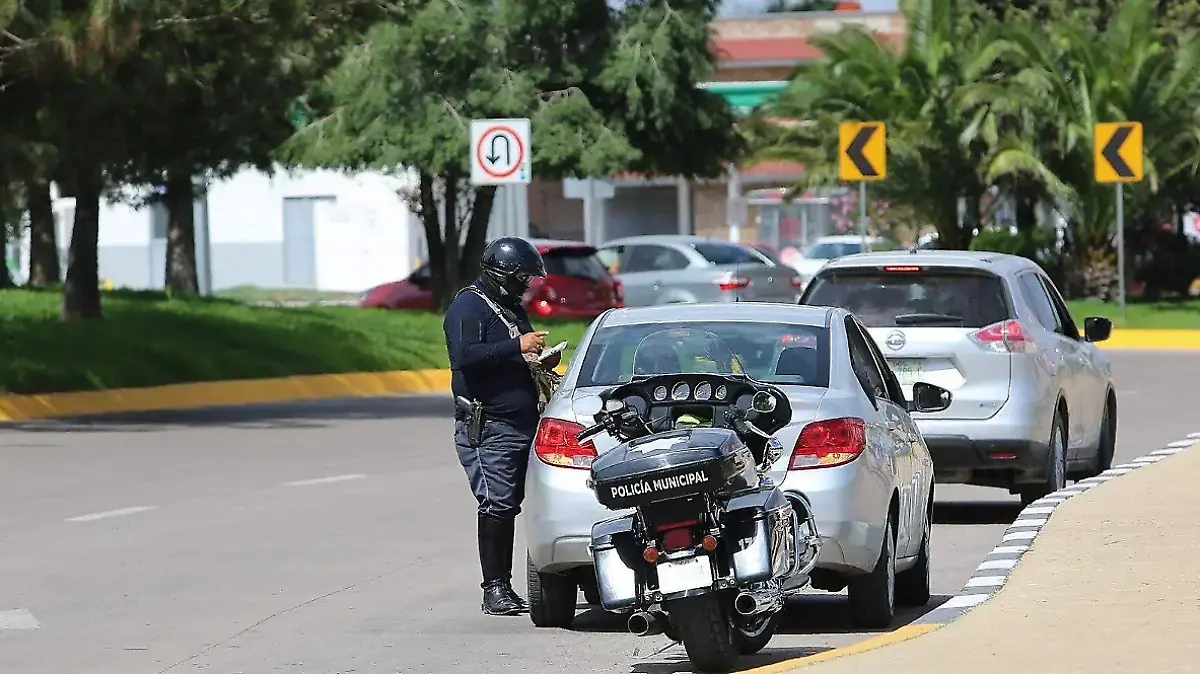 Captura de pantalla 2026-02-19 110339
