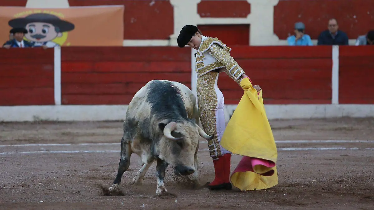 WhatsApp Image 2026-02-19 at 17.31.20