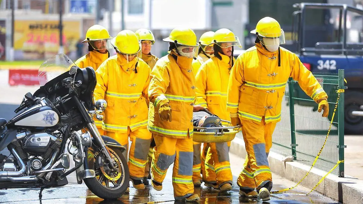 WhatsApp Image 2026-02-20 at 2.53.58 PM