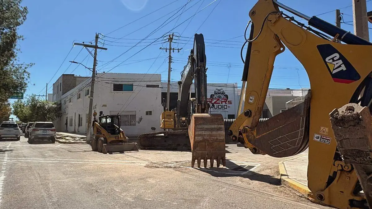 WhatsApp Image 2026-02-20 at 4.57.01 PM