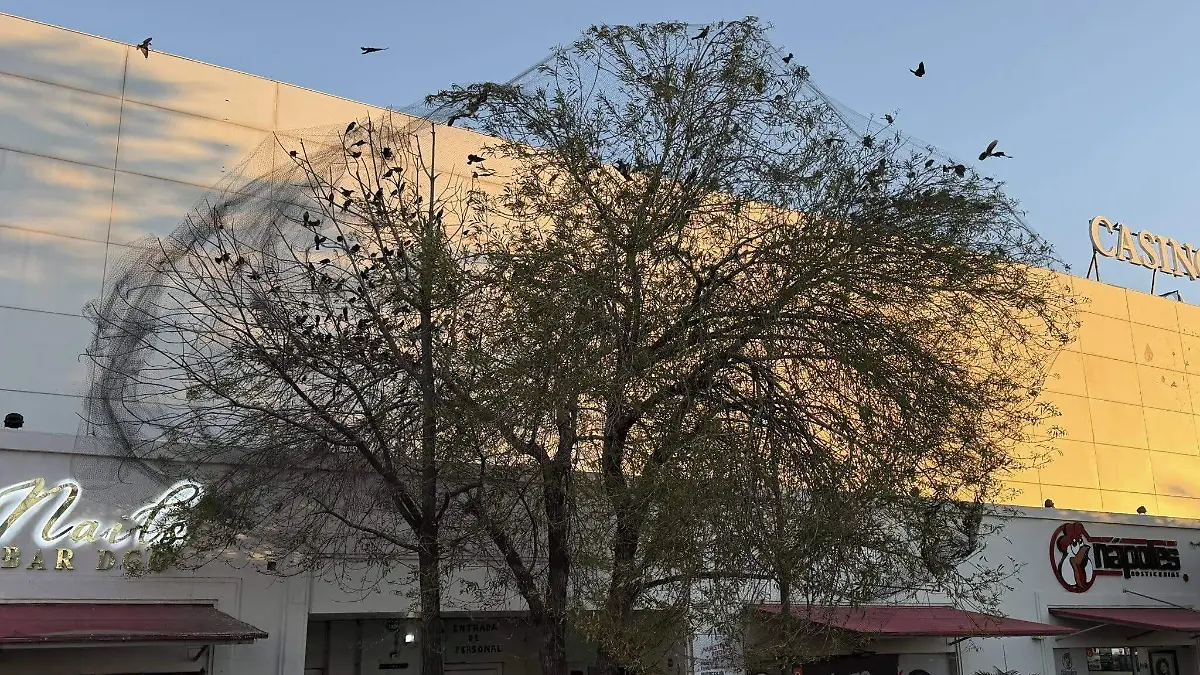 639766991_2736600533371278_5377086776706930786_n