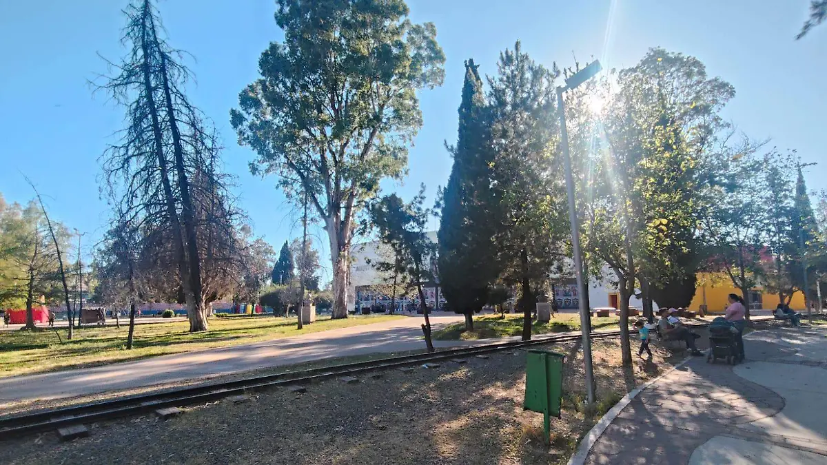 WhatsApp Image 2026-02-21 at 6.11.38 PM