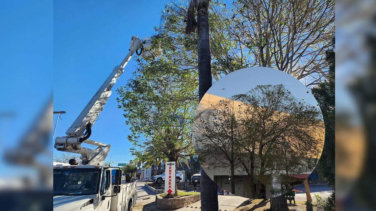 Medidas Portada CUE (1)