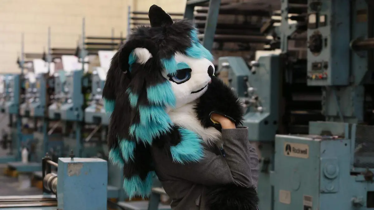 Furros, una combinación entre la creatividad y el arte
