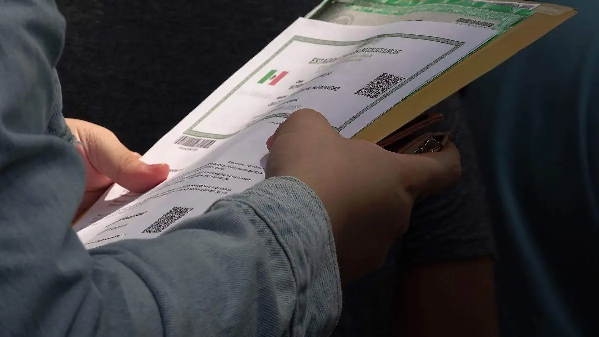 1041161_Renapo CURP_web