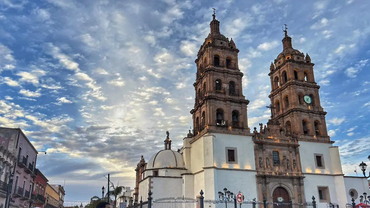 WhatsApp Image 2026-02-22 at 1.42.26 PM