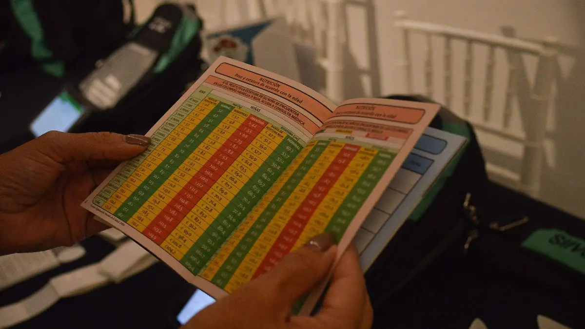 608860_Cartilla Electronica Vacunacion_web