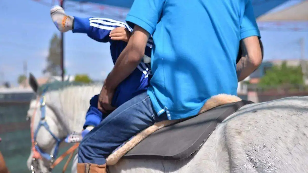 Equinoterapia-caballos