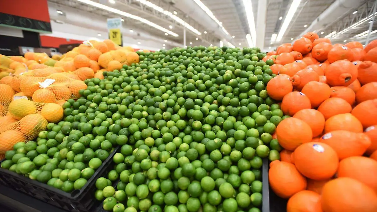 WhatsApp Image 2026-02-23 at 16.35.12