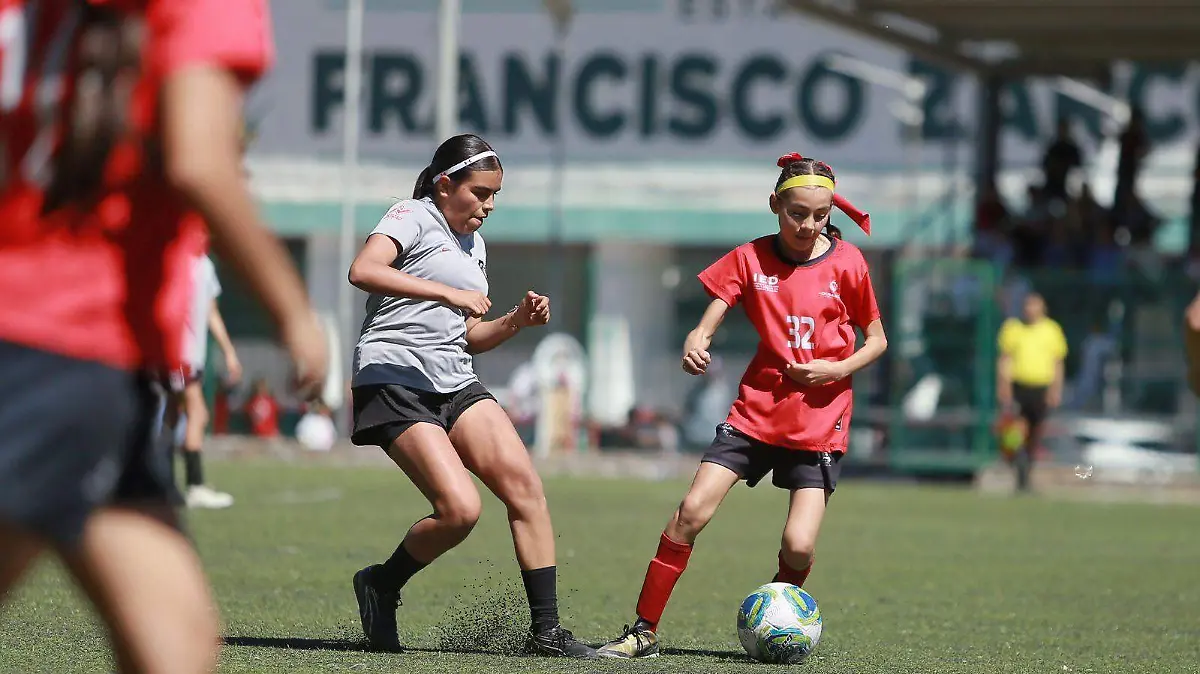 WhatsApp Image 2026-02-23 at 18.17.15 (1)