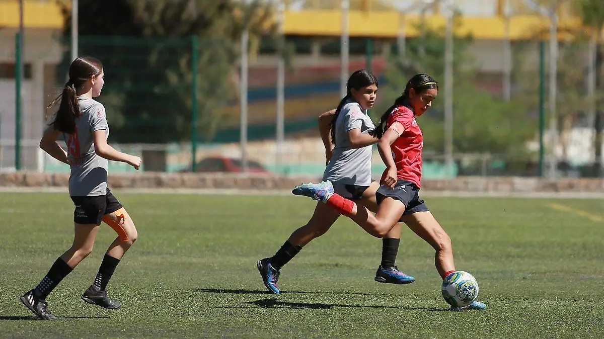 futbol femenil Durango categoría 2012-2013