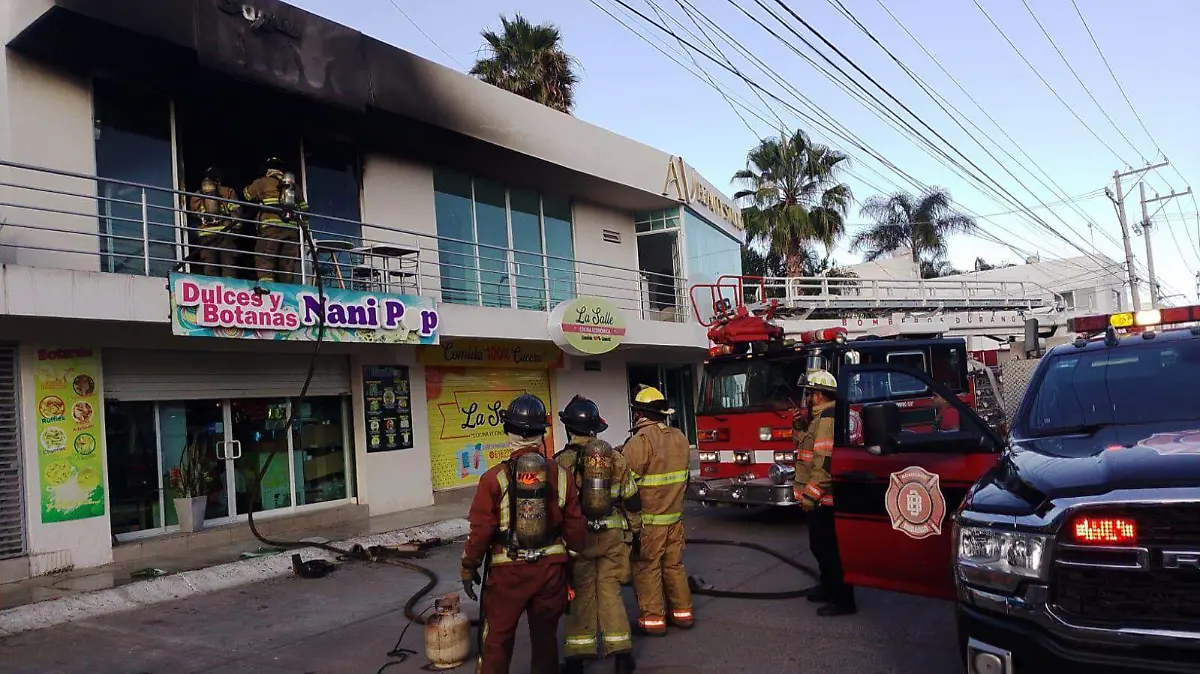 WhatsApp Image 2026-02-24 at 17.56.46