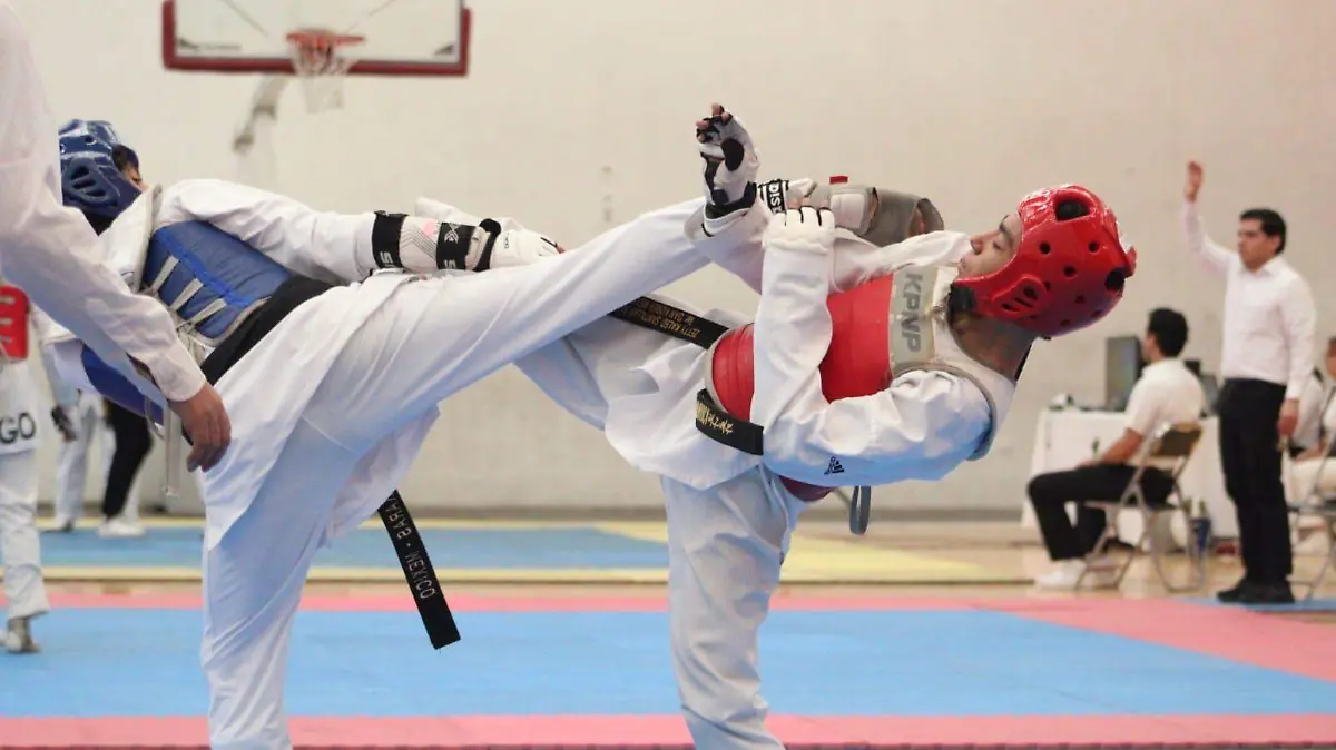 WhatsApp Image 2026-02-24 at 8.44.32 PM (1)