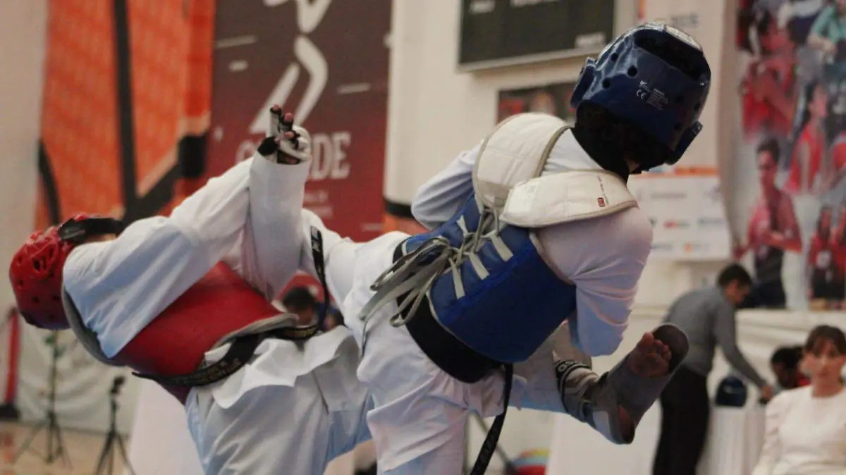 taekwondo etapa estatal