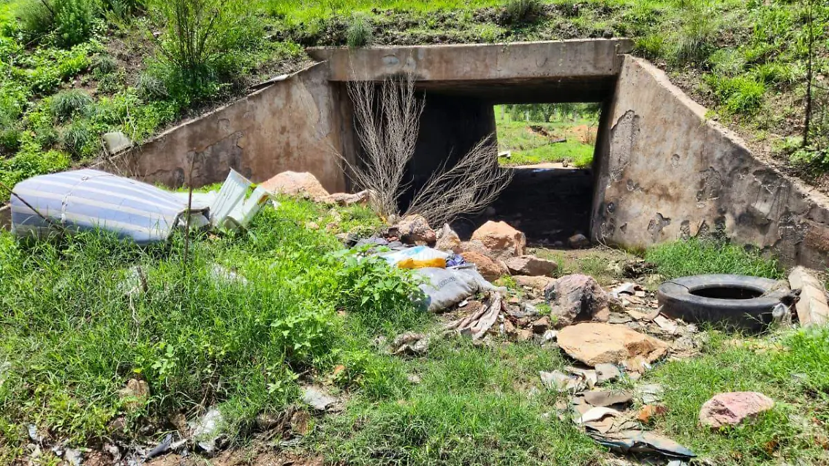 WhatsApp Image 2026-02-26 at 16.16.56 (2)