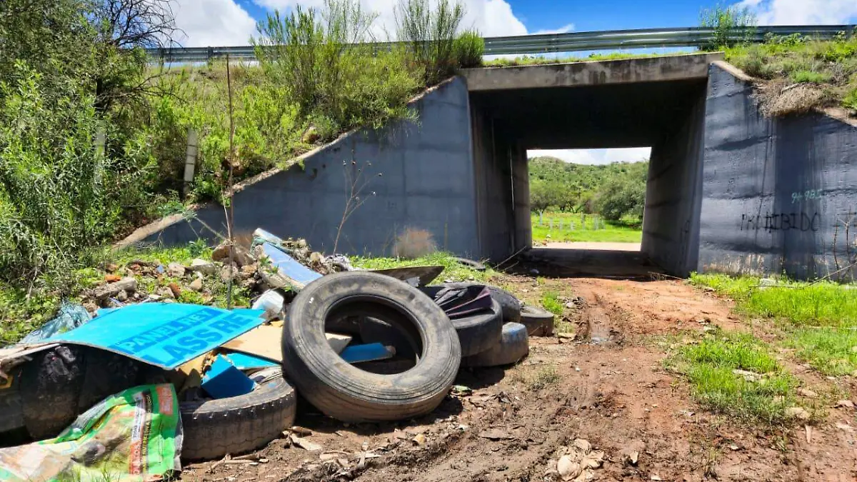  tiraderos clandestinos basura 
