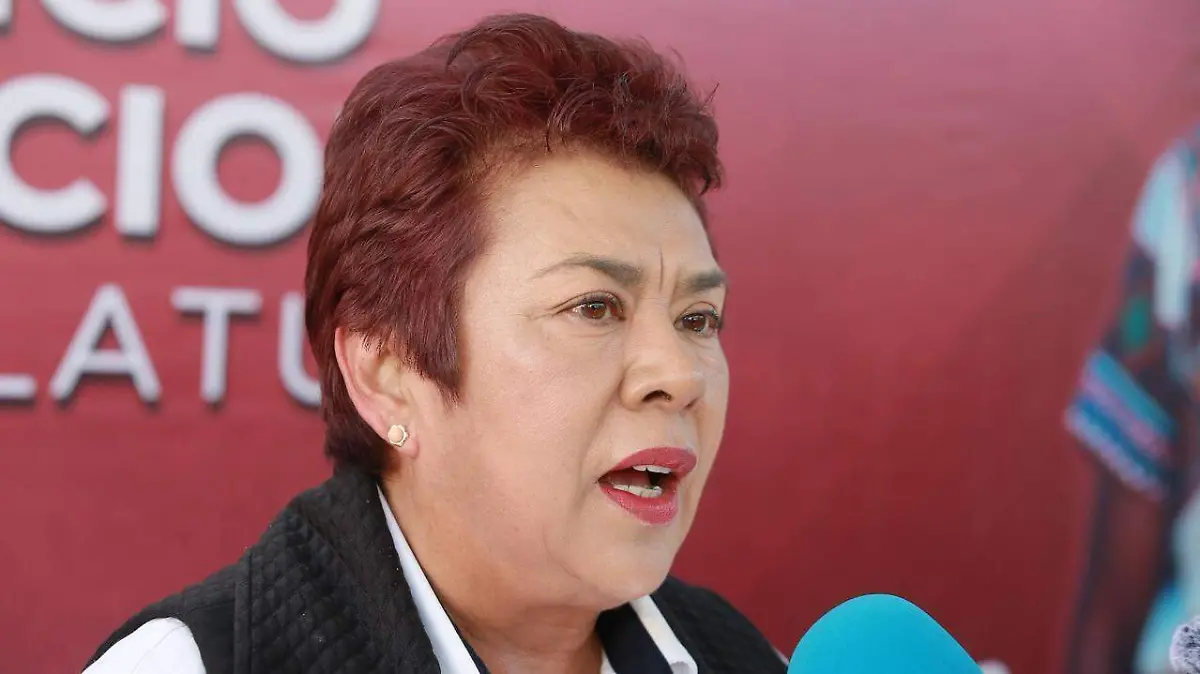 WhatsApp Image 2026-02-26 at 15.58.12