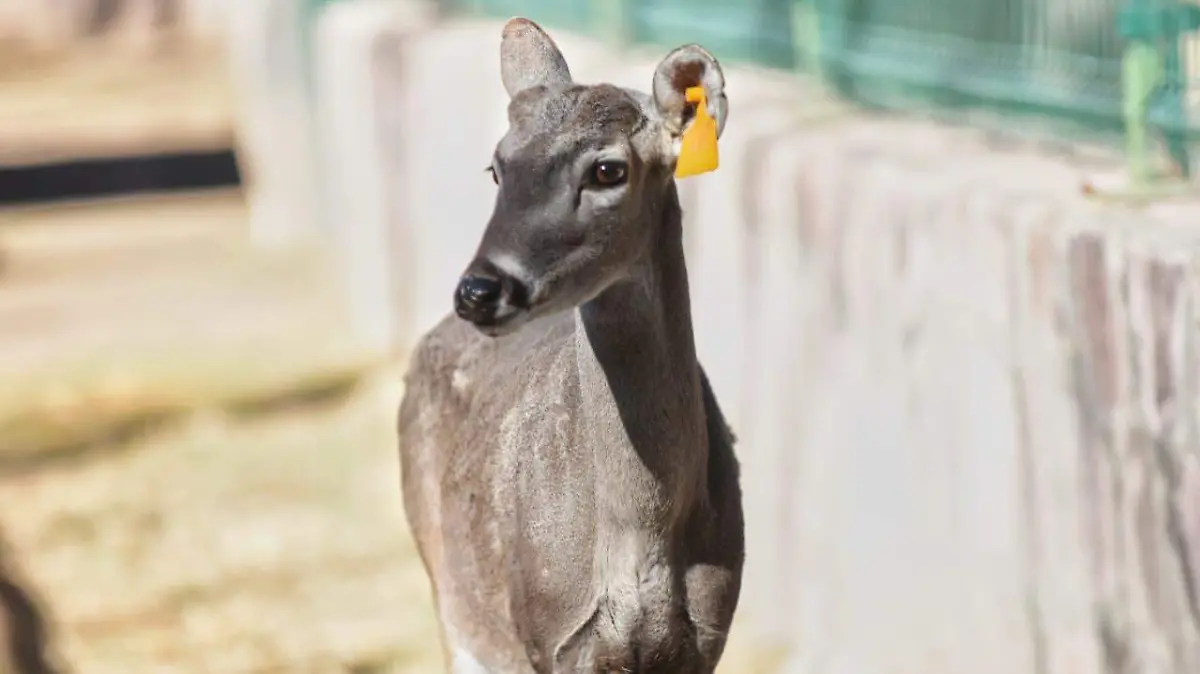 WhatsApp Image 2026-02-28 at 8.10.33 AM