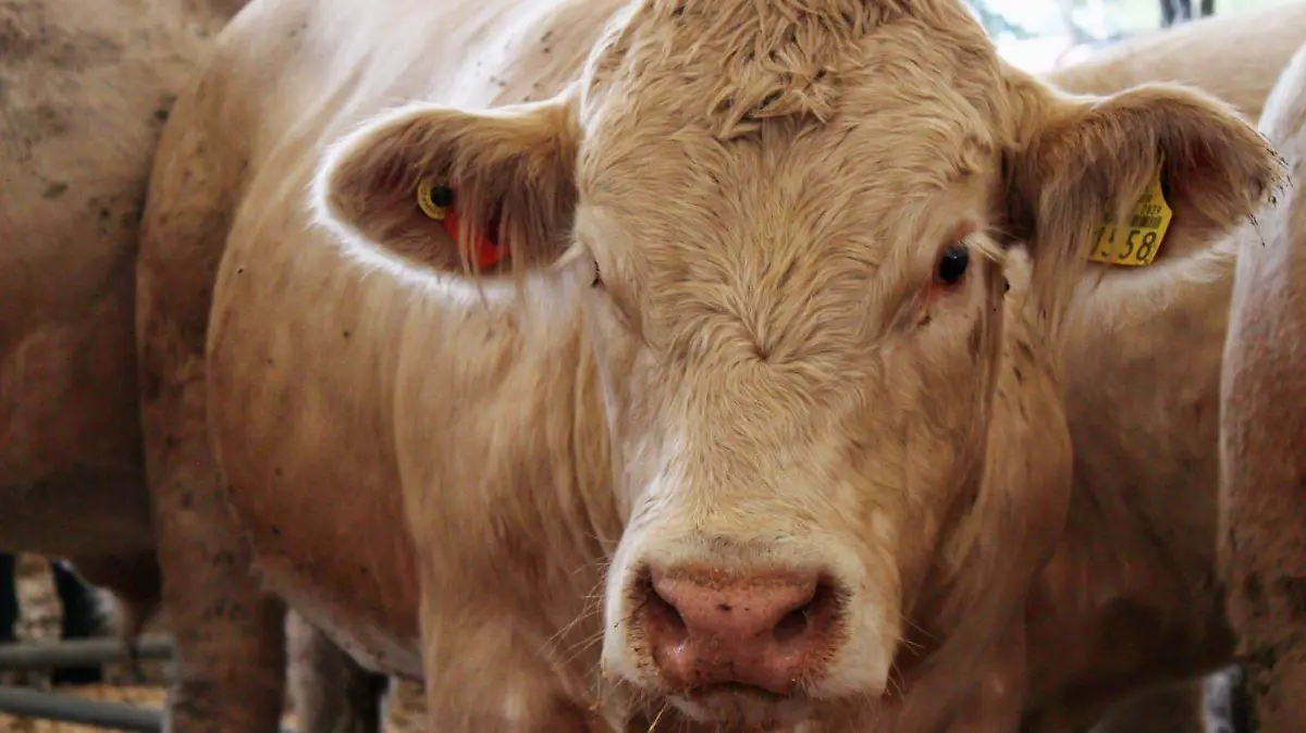 WhatsApp Image 2026-02-28 at 3.17.28 PM