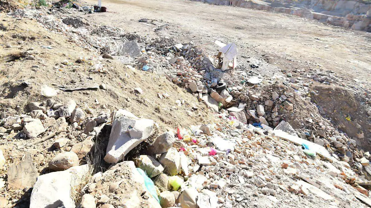 WhatsApp Image 2026-02-28 at 15.41.16 (2)