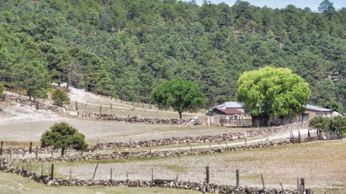 WhatsApp Image 2026-02-28 at 08.22.45