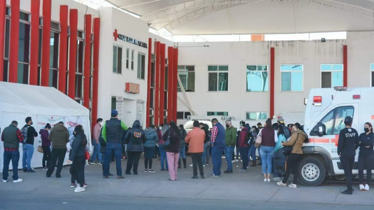 WhatsApp Image 2026-02-28 at 08.11.56