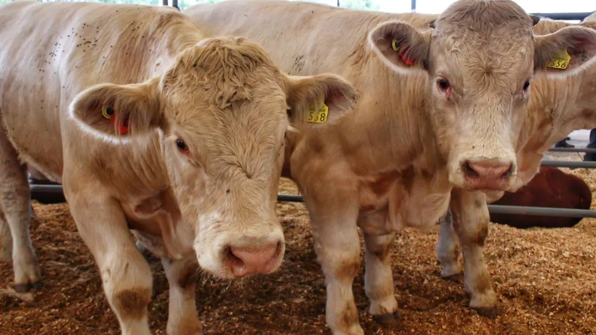 WhatsApp Image 2026-03-01 at 10.01.25 AM (2)