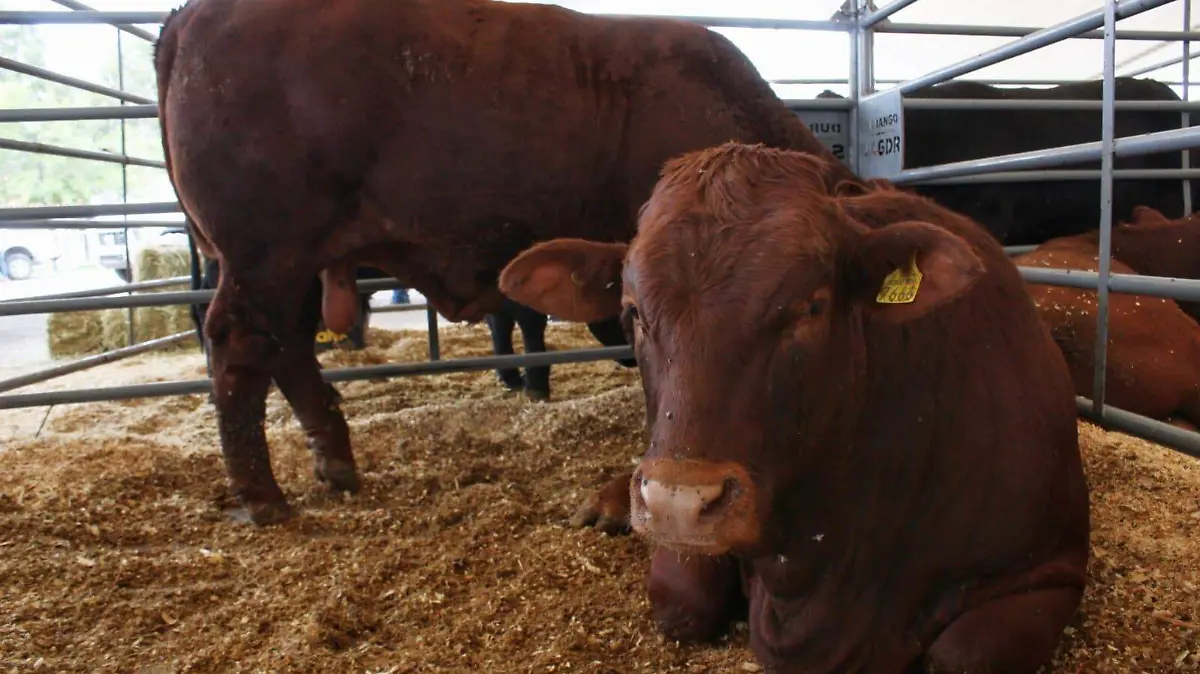 WhatsApp Image 2026-03-01 at 10.01.25 AM (1)