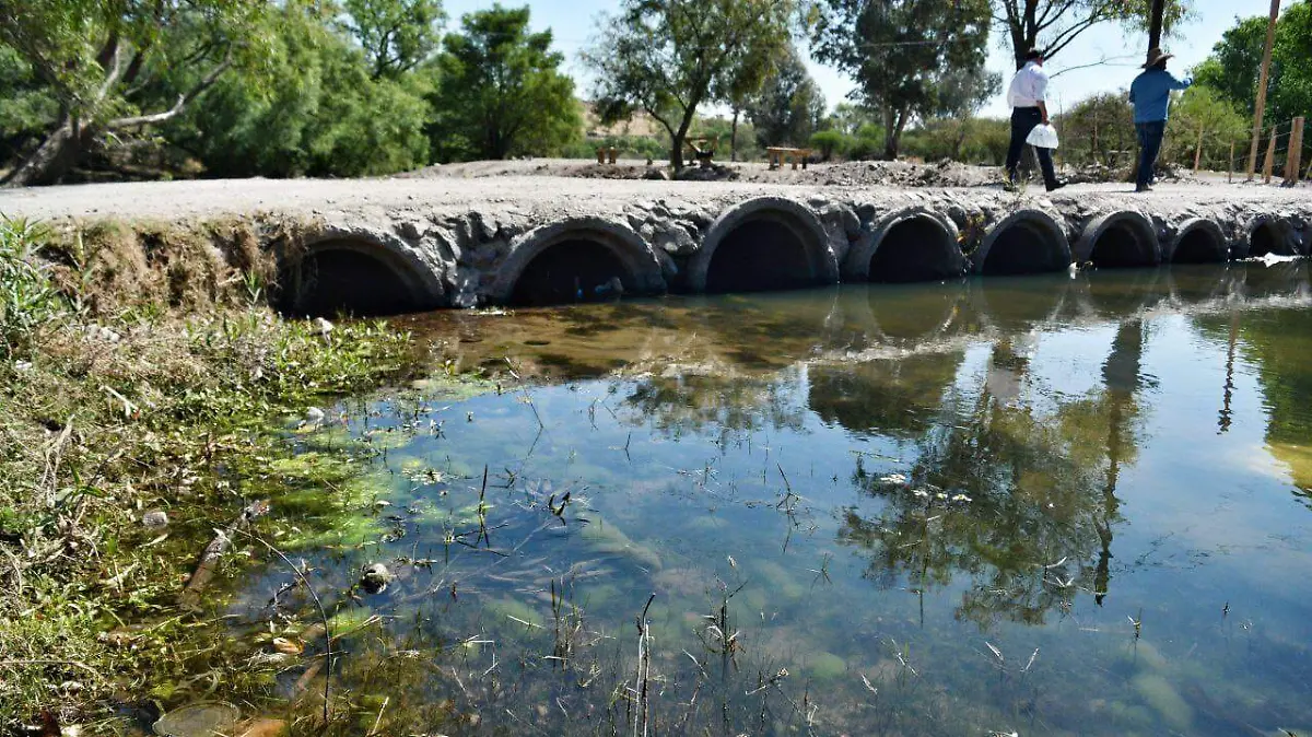 WhatsApp Image 2026-03-01 at 10.11.47