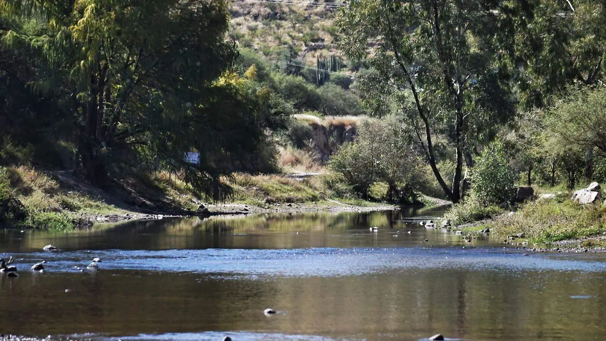 WhatsApp Image 2026-03-01 at 10.11.23