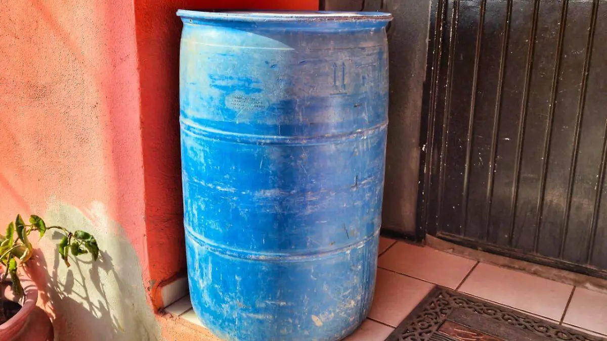 WhatsApp Image 2026-03-03 at 16.14.29