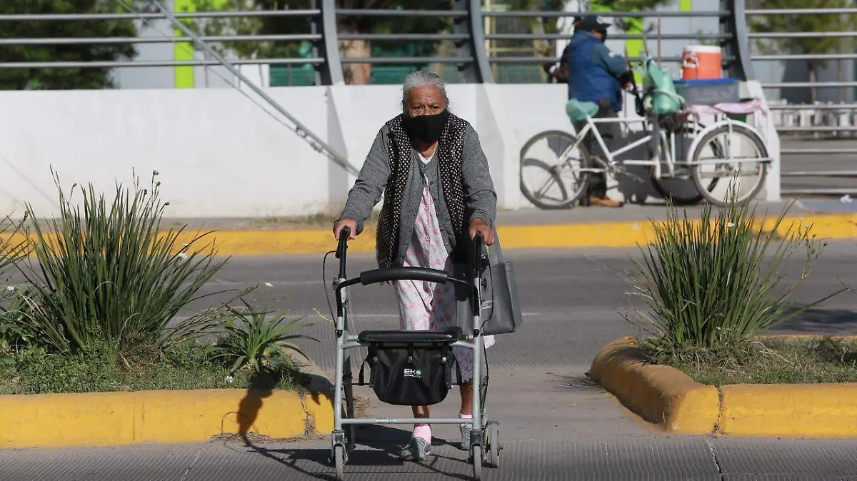 WhatsApp Image 2026-03-03 at 21.19.09