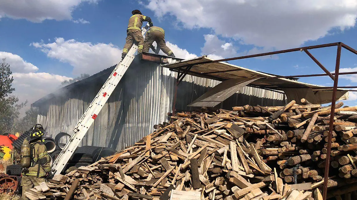 WhatsApp Image 2026-03-05 at 16.57.33