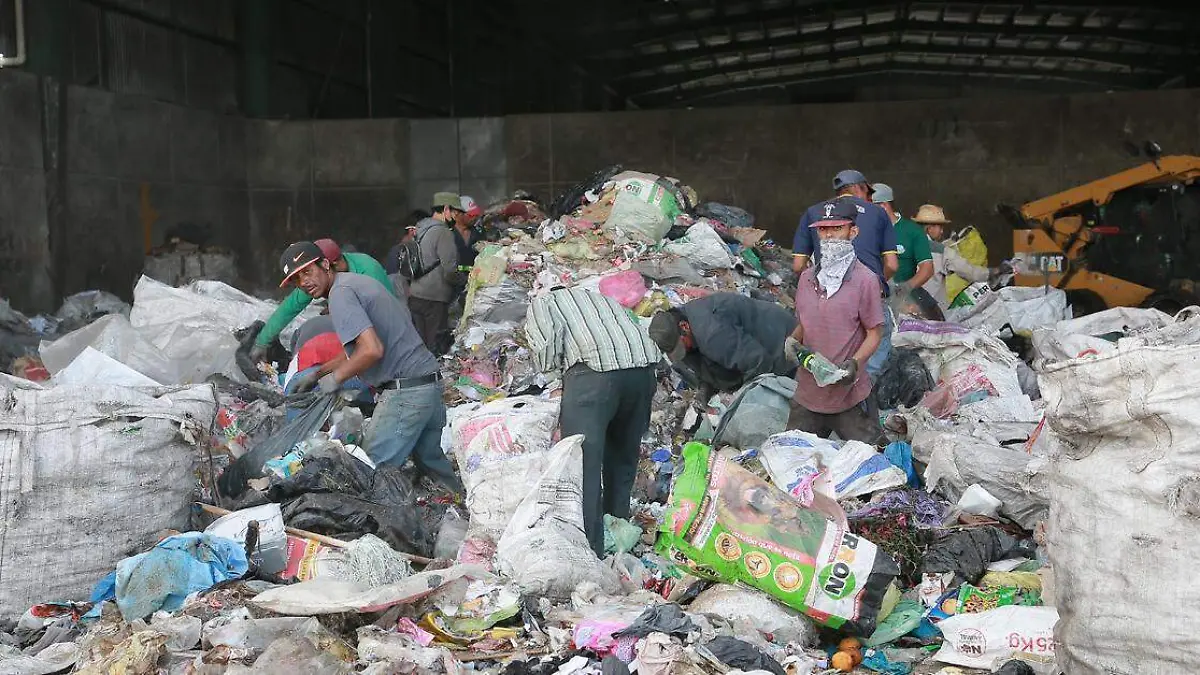 plantas de selección y transferencia de basura