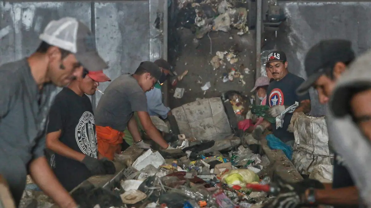 plantas de selección y transferencia de basura