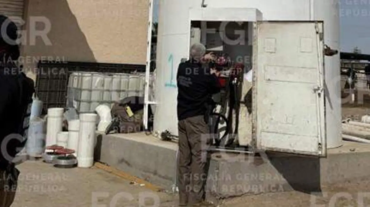 WhatsApp Image 2026-03-06 at 10.20.00 AM