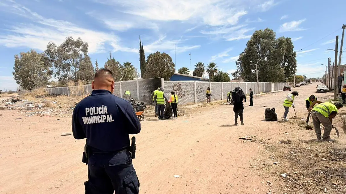 WhatsApp Image 2026-03-07 at 3.12.55 PM