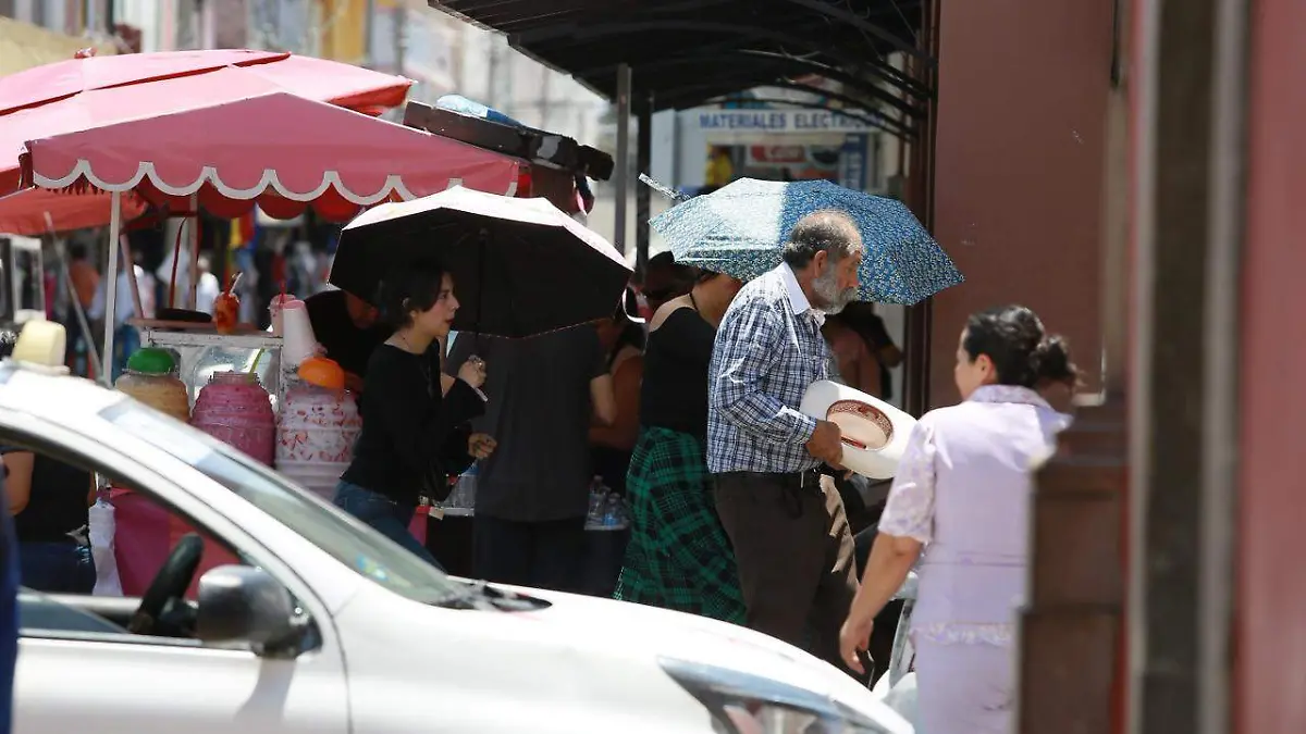 WhatsApp Image 2026-03-07 at 2.25.42 PM