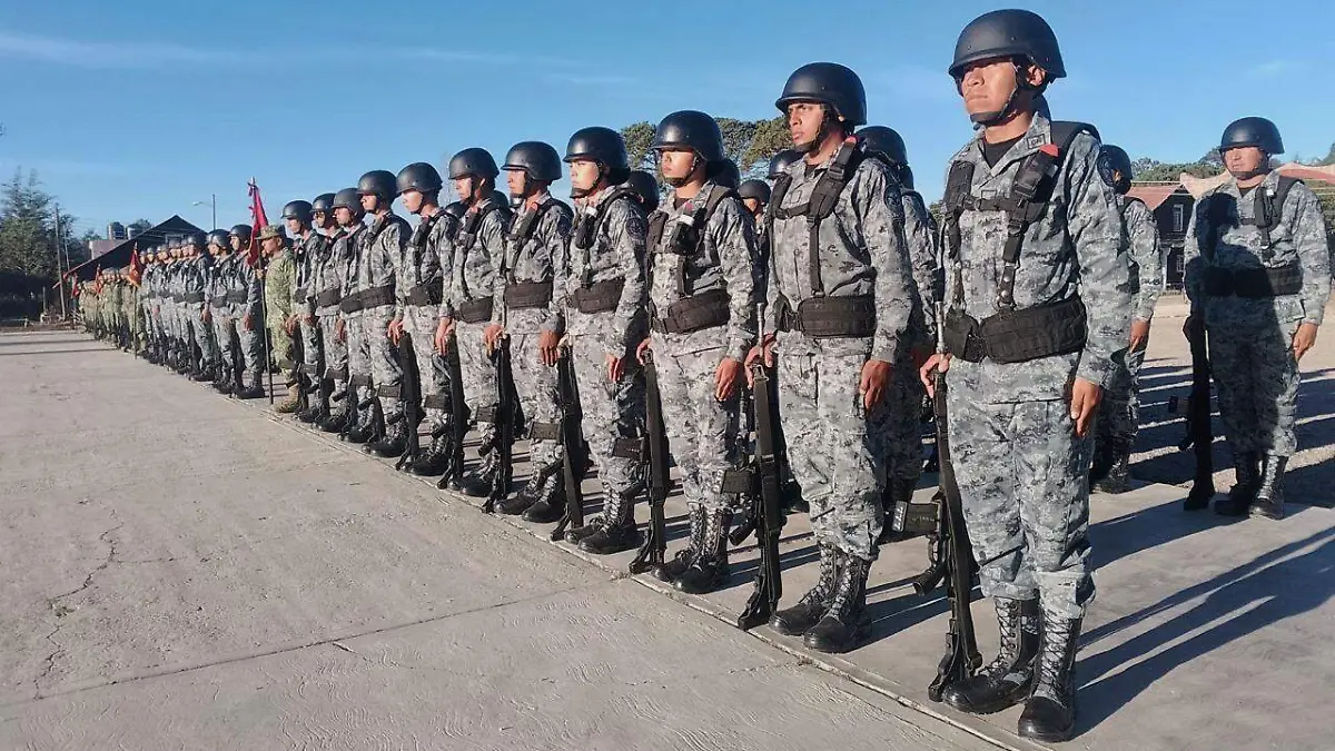 WhatsApp Image 2026-03-07 at 14.19.08 (4)