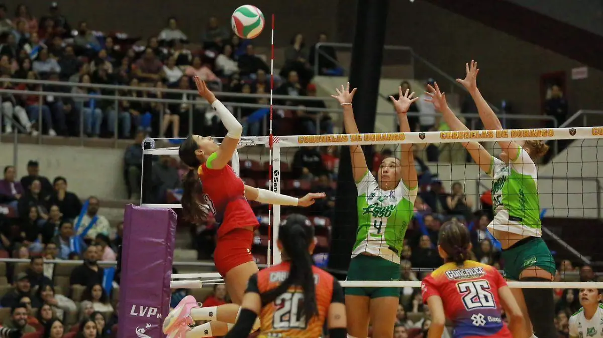 WhatsApp Image 2026-03-07 at 22.39.03 (2)