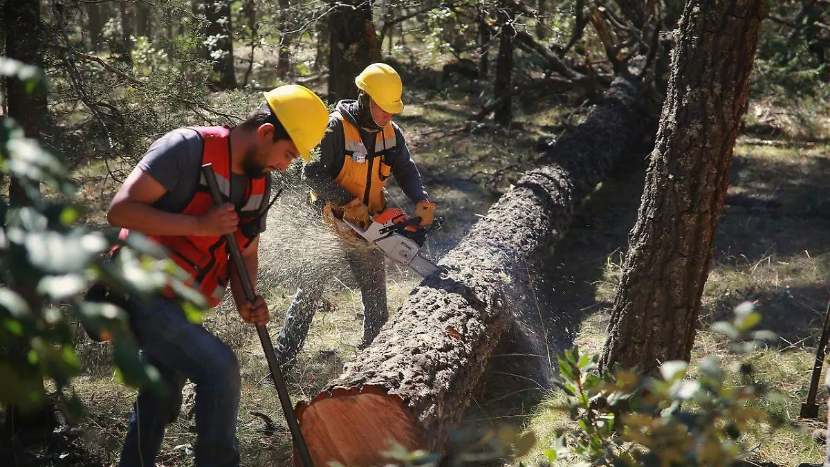 WhatsApp Image 2026-03-08 at 2.39.57 PM (1)