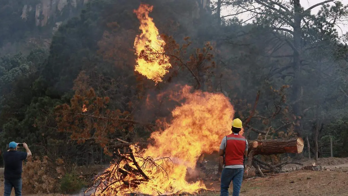 WhatsApp Image 2026-03-08 at 2.39.57 PM