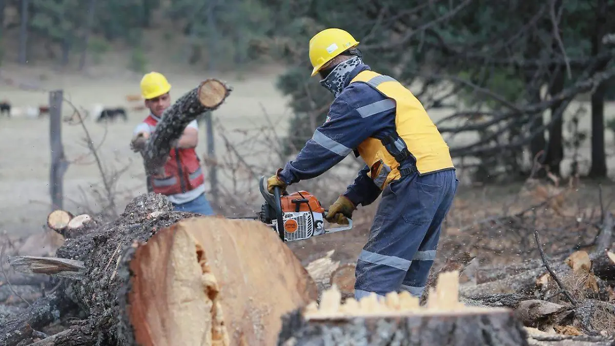 WhatsApp Image 2026-03-08 at 2.39.56 PM